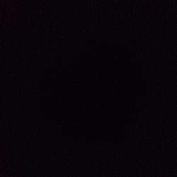 Monstera deliciosa Monstera deliciosa