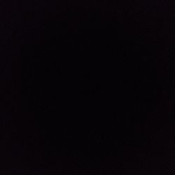 Pink Muhly Grass Pink Muhly Grass