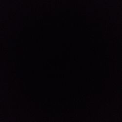 Prickly Pear Cactus Prickly Pear Cactus