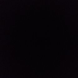 Prickly Pear Cactus Prickly Pear Cactus