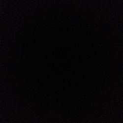 Watermelon Peperomia Watermelon Peperomia