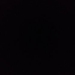 Philodendron 'Emerald Red' Philodendron 'Emerald Red'