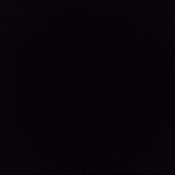 Philodendron 'Emerald Red' Philodendron 'Emerald Red'