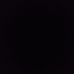 Sansevieria zeylanica Sansevieria zeylanica