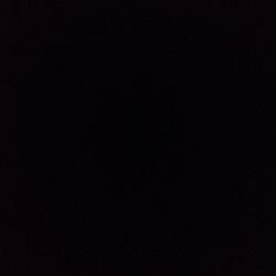 Sansevieria zeylanica Sansevieria zeylanica