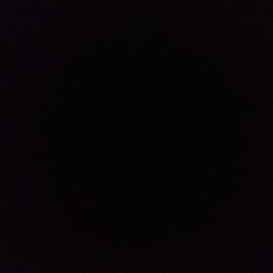 Stromanthe 'Triostar' Stromanthe 'Triostar'