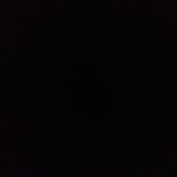 Golden Pothos Golden Pothos