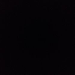 Golden Pothos Golden Pothos