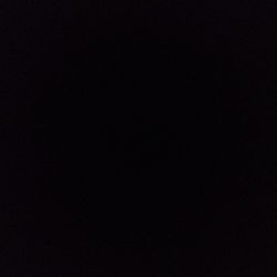 Jade Pothos Jade Pothos