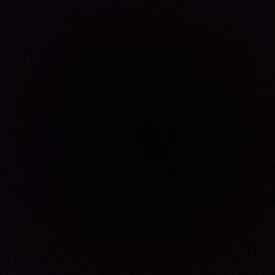 Hawaiian Spider Plant Hawaiian Spider Plant