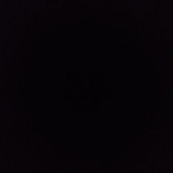 Persian Lime Citrus Tree Persian Lime Citrus Tree