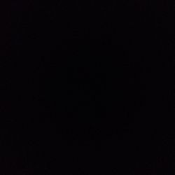 Monstera adansonii Monstera adansonii