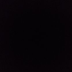 Monstera adansonii Monstera adansonii