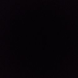 Pilea Chinese Money Plant Pilea Chinese Money Plant